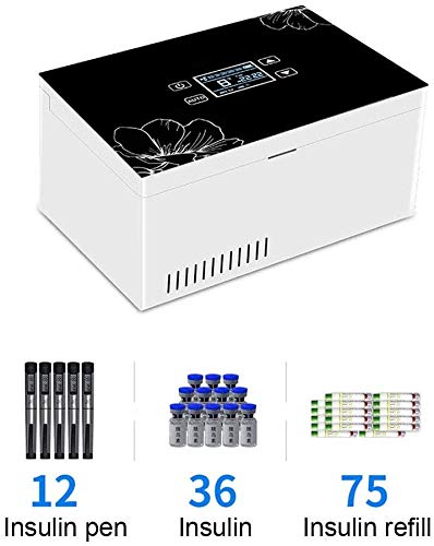 XINTONGSPP Mini refrigerador, Perfume/Farmacéutica Frigorífico, Utilizado en el automóvil, Viajes, hogar-portátil refrigerador del Coche/Pequeño botiquín