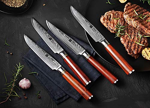 XINZUO Juego de 4 Cuchillos de Carne,12.35cm Cuchillo de Mesa Cuchillos Chuleteros Acero Damascus Cuchillos de Cocina, Hermosa Caja de Regalo, Ergonómico Mango de Rosewood –H Serie