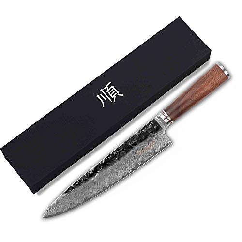 YOUSUNLONG Cuchillos de chef 10 pulgadas Pro Gyuto japonés VG10 martillado Damasco acero Natural nogal mango de madera con funda de cuero