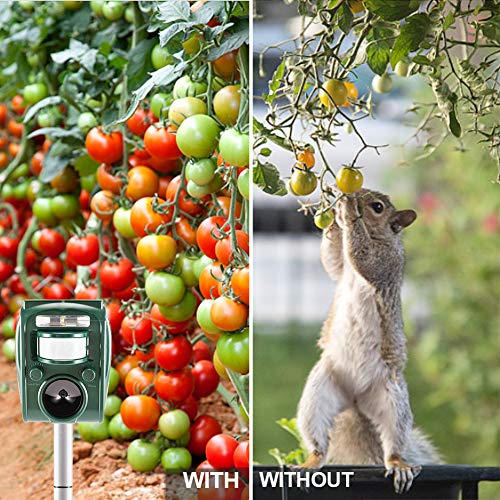 zonpor Repelente Ultrasónico, para Uso al Aire Libre, ristente al Agua, Animales, Ratones, Perroas, Gatos, pájaros