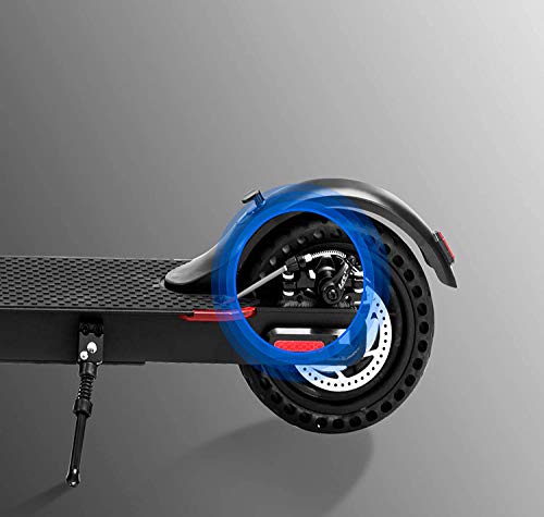 ZWheel Patinete Eléctrico E9 Basic ZLion 25 km/h 300W Motor Patinete eléctrico (E9B)