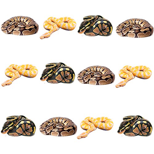 12 x diseño de piel de reptil de piel de serpiente Piel de serpiente Mix comestibles Tarjeta de cuadrícula adornos para tartas función atril UPS