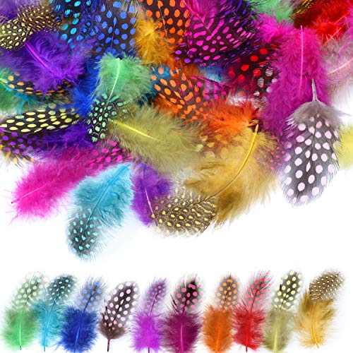 120 piezas Plumas manualidades, MWOOT Plumas de Faisán 5-13 cm Plumas Naturales para Pascua Máscara de Catcher Sueño Prendas de vestir DIY Artesanía Sombrero