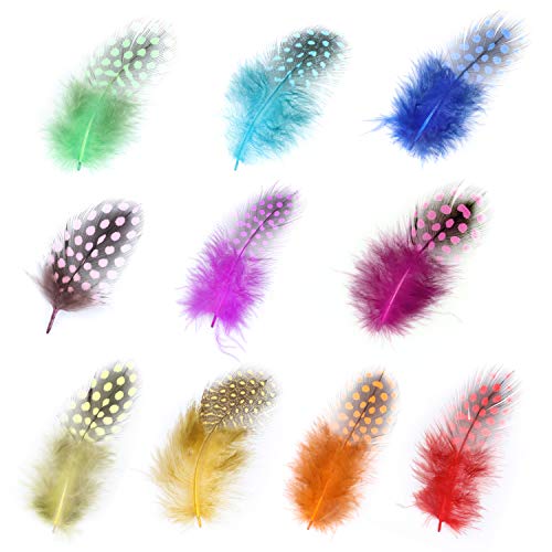 120 piezas Plumas manualidades, MWOOT Plumas de Faisán 5-13 cm Plumas Naturales para Pascua Máscara de Catcher Sueño Prendas de vestir DIY Artesanía Sombrero