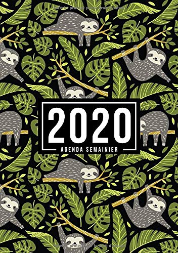 Agenda semainier 2020: Du 1er janvier 2020 au 31 décembre 2020 : aperçu hebdomadaire et mensuel, journal, planificateur & organiseur : Modèle de paresse 952-2