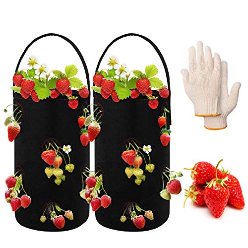 ANBET 2 PCS Bolsas para Plantar Fresas, Bolsa de Cultivo de macetas con Fresas Colgantes de Fieltro con 11 Agujeros con 1 par de Guantes para Plantas/Hierbas/Flores