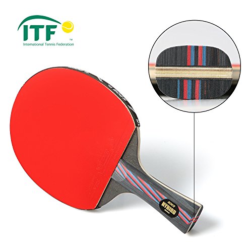 Ancees Pala Ping Pong, Pala de Tenis de Mesa de Carbono con Funda Raqueta de Ping Pong Gomas ITTF (Madera de 7 Capas y Carbono de 2 Capas)