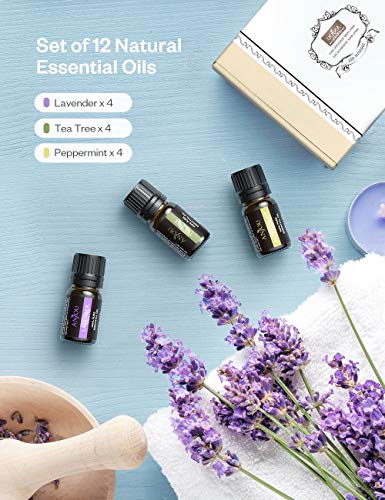 Anjou Aceites Esenciales 12pcs, Aceite Aromaterapia Natural Puro (Lavanda 4 * 5ml, Árbol de Té 4 * 5ml, Menta 4 * 5ml,) para Difusor,Spa,Dormir.