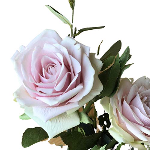 BOTANIC DESSIGN Ramo de Flores Artificiales JARRÓN Decorativo Incluido Arreglo Floral Artificial con Diferentes Tipos de Rosas de Abertura Exquisita y Color Suave para decoración hogar