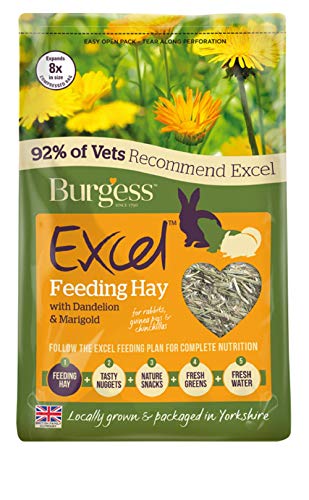 Burgess Excel Feeding Heno con diente de león y caléndula, 1 kg