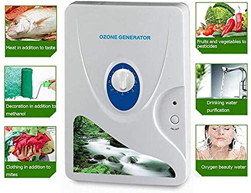 Buzhidao Esterilizador Desodorante purificador de Aire generador de ozono con Temporizador de 600 MG/Hora para Agua, Verduras, Frutas y más