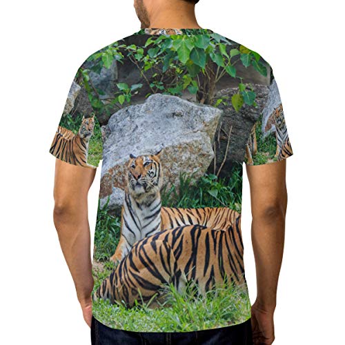 Camiseta para Hombre Niños Selva Animal Tigre Descanso Manga Corta Personalizada