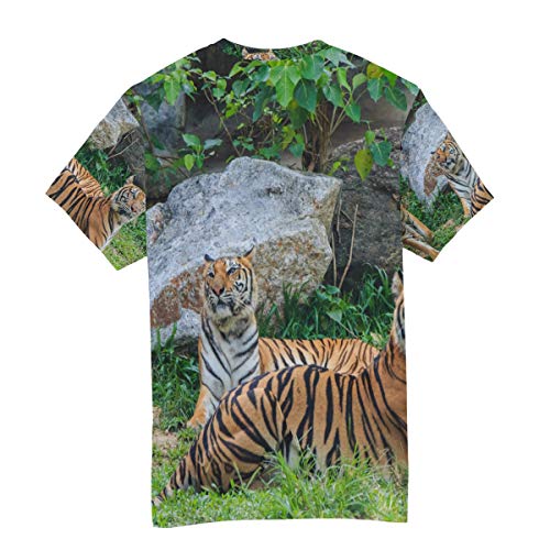 Camiseta para Hombre Niños Selva Animal Tigre Descanso Manga Corta Personalizada