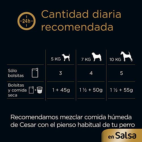 Cesar Bolsitas de Comida Húmeda para Perros en Salsa, Sabor Pollo y Verdura (Pack de 24 x 100g)