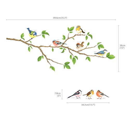 DECOWALL DS-8036 Pájaros del jardín Vinilo Pegatinas Decorativas Adhesiva Pared Dormitorio Salón Guardería Habitación Infantiles Niños Bebés (Pequeña)