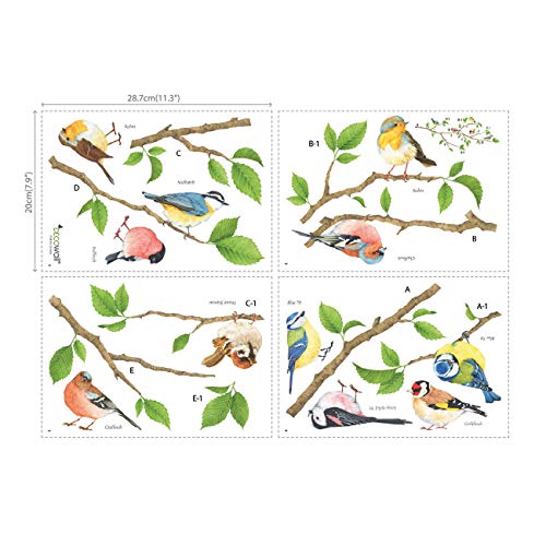 DECOWALL DS-8036 Pájaros del jardín Vinilo Pegatinas Decorativas Adhesiva Pared Dormitorio Salón Guardería Habitación Infantiles Niños Bebés (Pequeña)