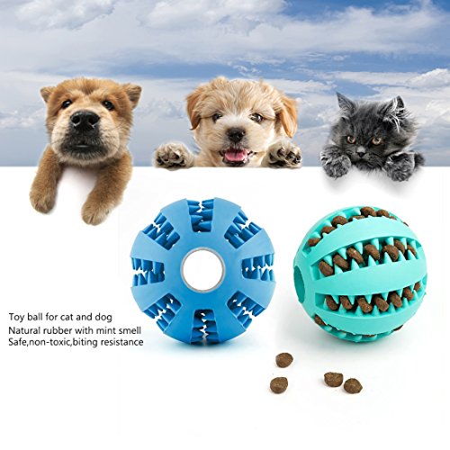 Dewel 2pcs Pelota Perros Maticar Mascotas Pet Ball Juguetes para Mascotas Elasticidad Diente Bola de Limpieza