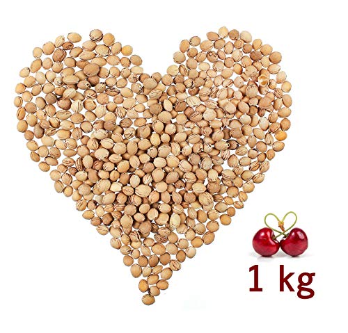 Eigenmarke Huesos de Cereza a Granel 1 kg