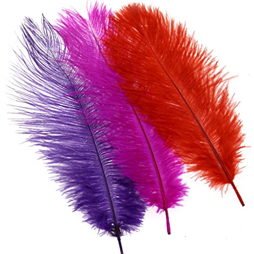 Emma - Plumas de avestruz, 25,4-30,4 cm, 10 unidades