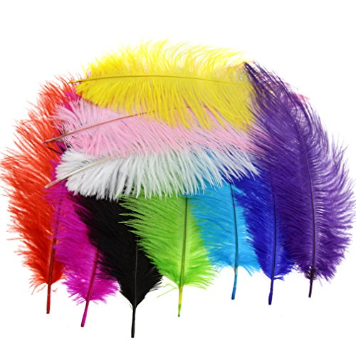 Emma - Plumas de avestruz, 25,4-30,4 cm, 10 unidades