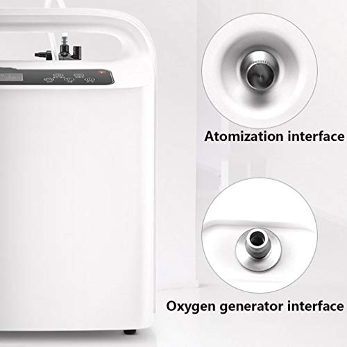 FeiGuo Concentrador de aire for el hogar y los viajes, las mujeres embarazadas y los ancianos Ajuste 1~8L Con atomización Función compacto y portátil de bajo ruido máquina de bar de oxígeno
