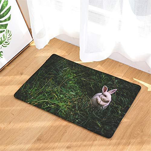 FEIYANG Decoración Animal de Conejo con Pasto Blanco Alfombra de baño Alfombrilla antirresbaladiza Puerta de Entrada del Piso Exterior Exterior Puerta Delantera 60X40CM.