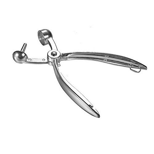 Fleymu Deshuesador Cerezas y Aceitunas Mano Removedor de Semillas Herramientas de Cocina Removedora Portátil Cherry de Fruta Corer Pitter Ideal para Cerezas para Pasteles, Tarta o Mermelada (Plata)