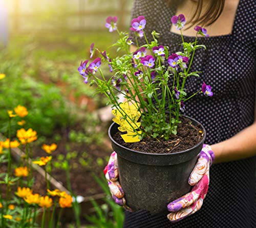 Fullsexy 54 Piezas de Trampa para Moscas Colgando y Placas Amarillas enchufables Planta de protección de Pegatina Amarilla de los pulgones Mosquitos, Moscas de Hoja y Moscas Blancas