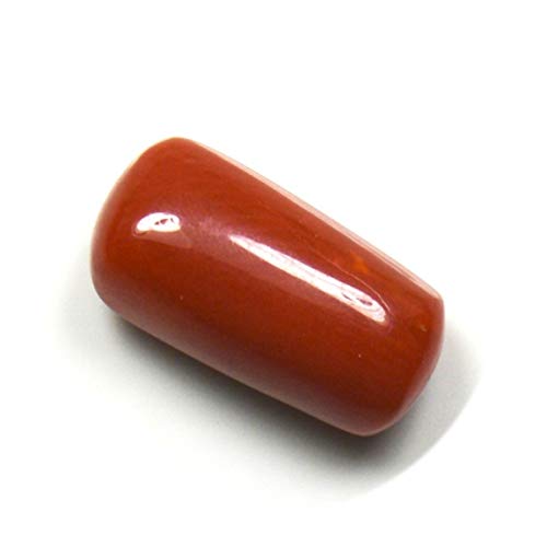 Gemsonclick 12X6 MM Tamaño Real Rojo Coral Piedra Cápsula Forma Cabochon Piedra Preciosa Suelta para Hacer Joyas