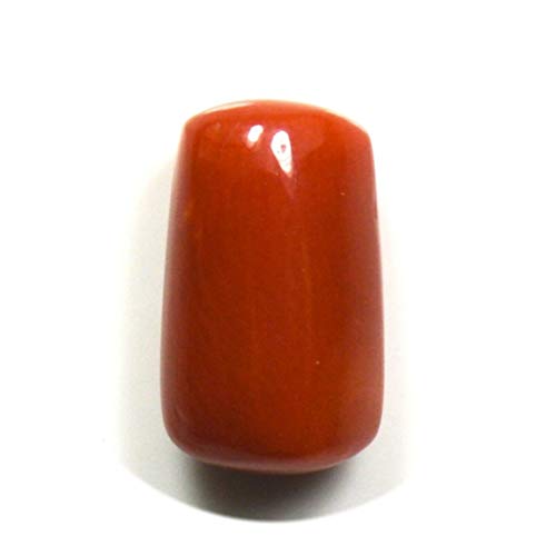 Gemsonclick 12X6 MM Tamaño Real Rojo Coral Piedra Cápsula Forma Cabochon Piedra Preciosa Suelta para Hacer Joyas