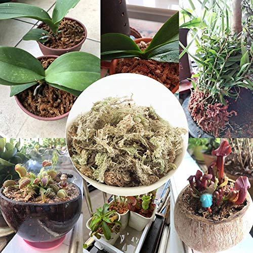 hehsd0 Sphagnum Musgo 6L 12L Flor Fertilizante Orgánico Práctica Duradero Nutrición Hogar para Orquídea Jardín Accesorios Florista Plantas Phalaenopsis Maceta Hidratante (6L) - como Imagen Show, 12l