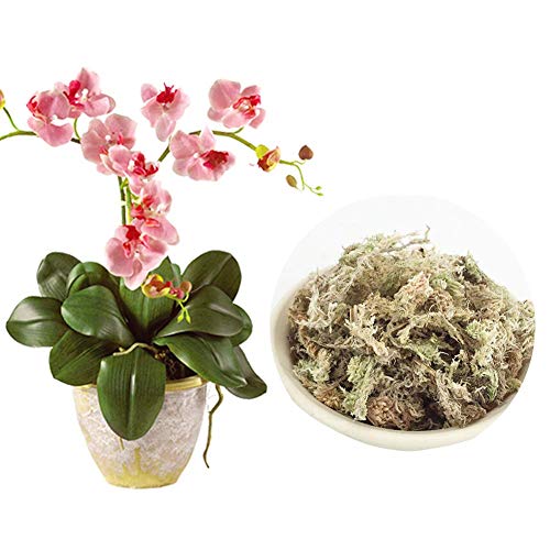 hehsd0 Sphagnum Musgo 6L 12L Flor Fertilizante Orgánico Práctica Duradero Nutrición Hogar para Orquídea Jardín Accesorios Florista Plantas Phalaenopsis Maceta Hidratante (6L) - como Imagen Show, 12l