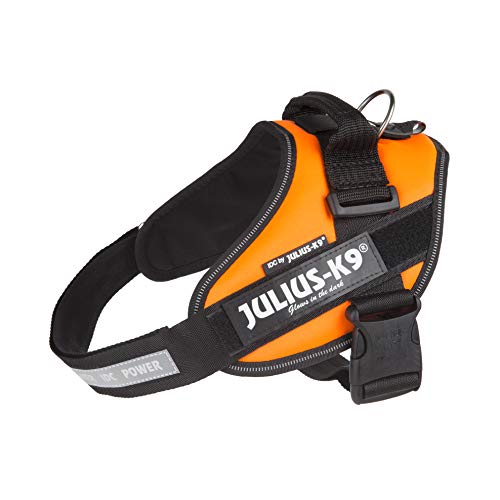 Julius-K9 16IDC - Power Harness