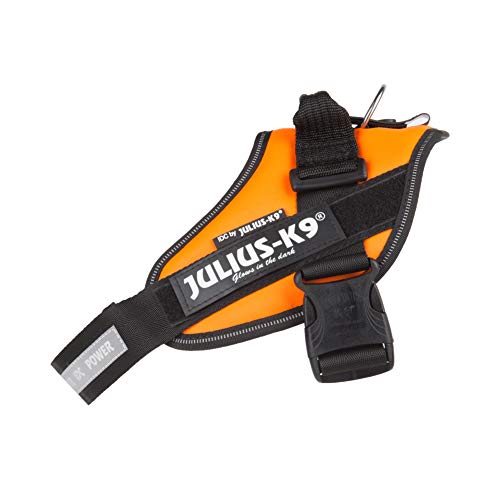 Julius-K9 16IDC - Power Harness