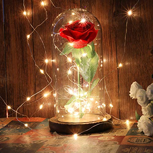 JUSTDOLIFE Rosa Eterna, Bella y la Bestia, Kit de Rosas y luz LED con Pétalos Caídos en la Cúpula de Vidrio en la Base de Madera para la Decoración del Hogar Boda Cumpleaños