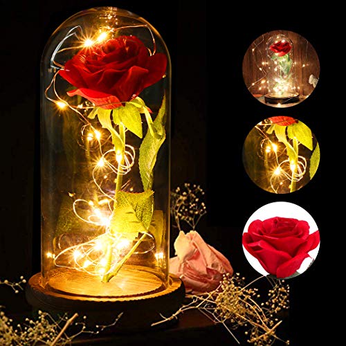 JUSTDOLIFE Rosa Eterna, Bella y la Bestia, Kit de Rosas y luz LED con Pétalos Caídos en la Cúpula de Vidrio en la Base de Madera para la Decoración del Hogar Boda Cumpleaños