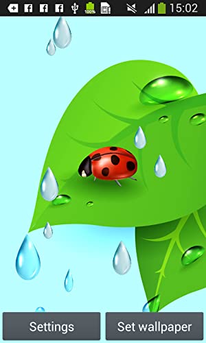 Ladybug Live Wallpapers