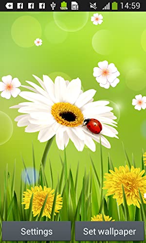 Ladybug Live Wallpapers