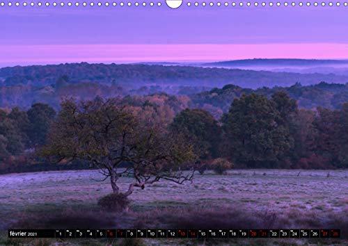 Lumieres des vosges (calendrier mural 2021 din a3 horizontal) - paysages feeriques des vosges, au gr: Paysages féériques des Vosges, au gré de mes mensuel, 14 Pages) (CALVENDO Nature)