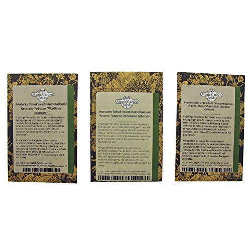 Magic Garden Seeds Tabaco de Cigarro - Set de Regalo de Semillas con 3 variedades de Tabaco Tradicional para la producción de Puros