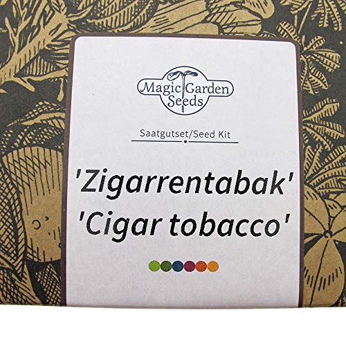 Magic Garden Seeds Tabaco de Cigarro - Set de Regalo de Semillas con 3 variedades de Tabaco Tradicional para la producción de Puros