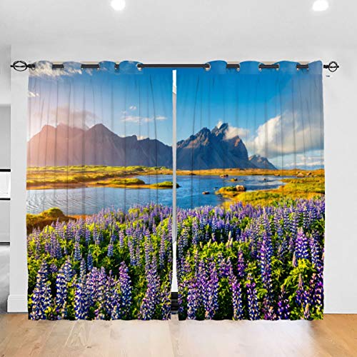 MAYUES Cortinas Opacas Blooming Púrpura Altramuz Flores Costa Islandesa Naturaleza Paisaje,con Aislamiento térmico,2 Panel