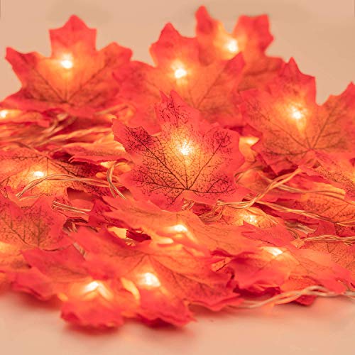 MUSCCM 6.56ft 20 LED de Otoño Artificial Arce Hojas de Alambre de Cuerda Luces de Caída Guirnalda Operado por Batería Decoración para Navidad Halloween Fiesta de Boda Vacaciones Casa Jardín Dormitorio