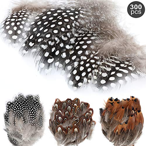 MWOOT 300pcs Plumas Manualidades Mixtas de Gallo Plumas de Faisán Decorado en Fiestas de cumpleaños Bodas Vestidos Sombrero