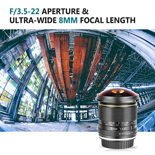 Neewer 8mm f/ 3,5-22 Asférico HD Ojo de Pez Lente de Enfoque Manual Fijo con Tapa Protectora, Lente Extraíble Parasol de Tulipán y Bolsa de Transporte para Cámaras Canon DSLR