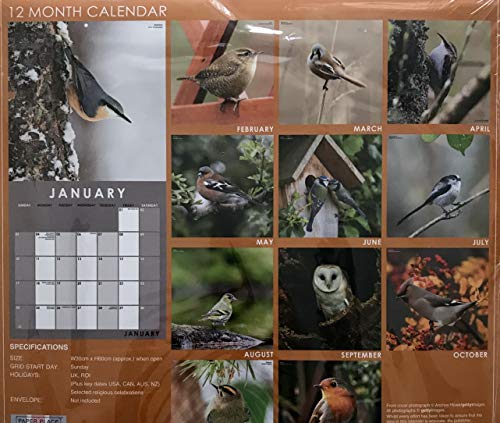 Nuevo calendario y diario conjunto de pájaros británicos 2021 esto será un gran regalo de Navidad. Este artículo ya viene envuelto en regalo.