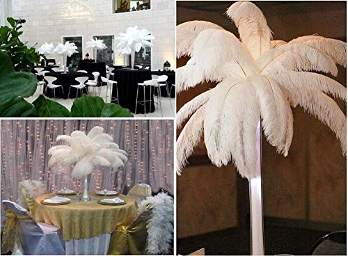 Pluma de la pluma de la avestruz natural 10pcs pluma de 16-18inch (los 40-45cm) para los centros de mesa de la boda decoración del hogar (Blanco)