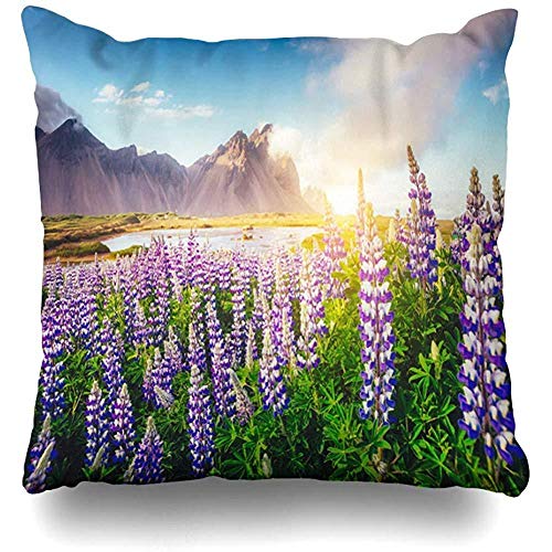 Qazqian Funda de Almohada Cuadrado Campo cautivador Aventura Gran Vista Flores de altramuz Que Brillan intensamente por la Naturaleza de la montaña 45x45cm