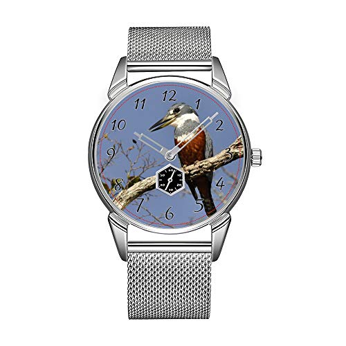 Reloj de pulsera para hombre de acero inoxidable plateado, resistente al agua, de marca superior, un pájaro helado sentado en un AST de un árbol