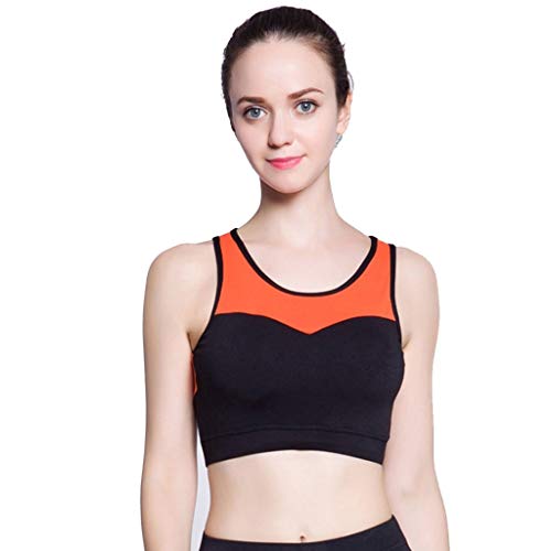 RXY Sujetadores Deportivos Gimnasio Sujetador Deportivo De Alta Resistencia A Prueba De Choques Sin Anillo De Acero Que Reúne Corsé Ropa Interior De Yoga (Color : Black, Size : S)